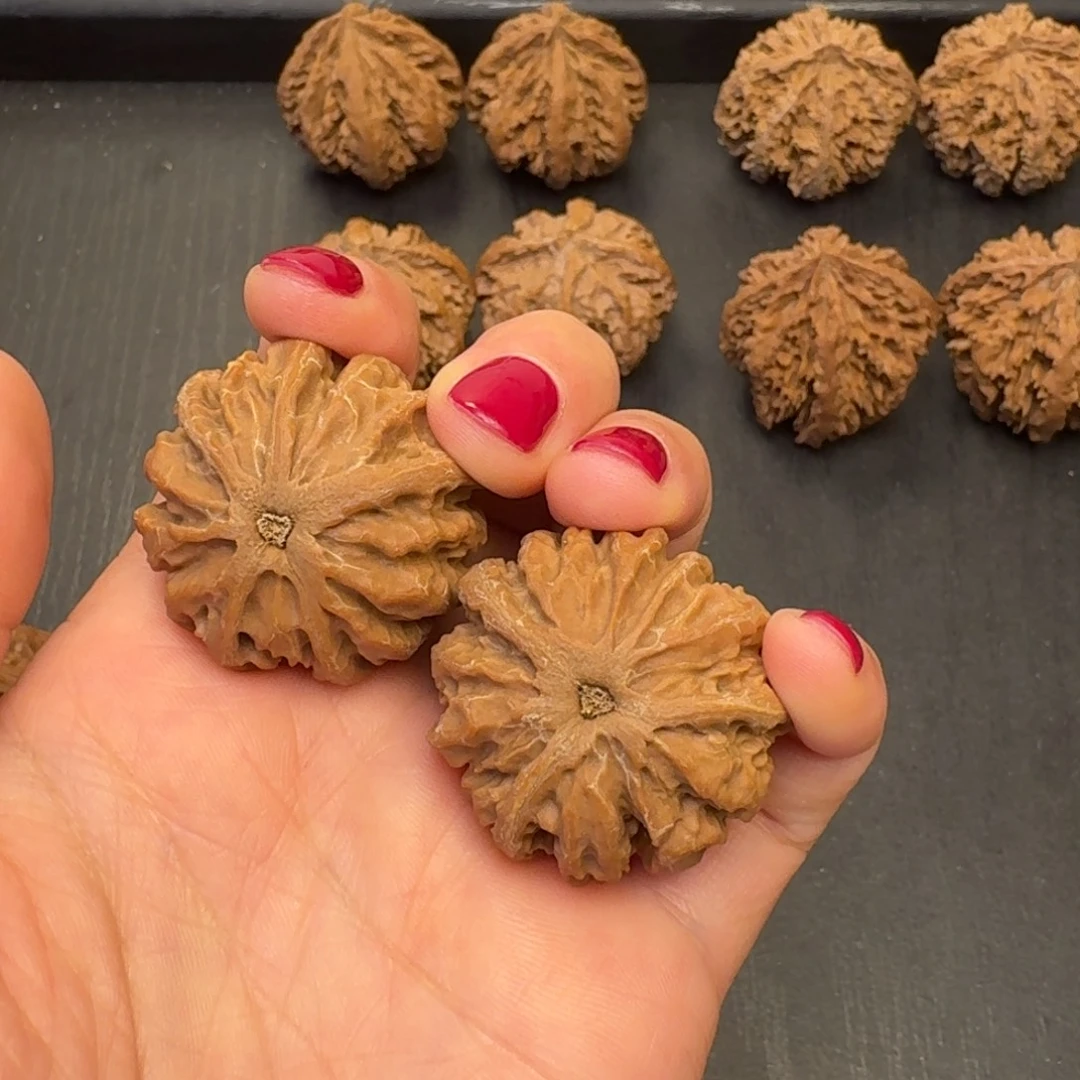 赵***核桃突突突突突突