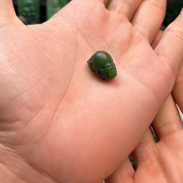 和田玉（碧玉）未镶嵌颈饰