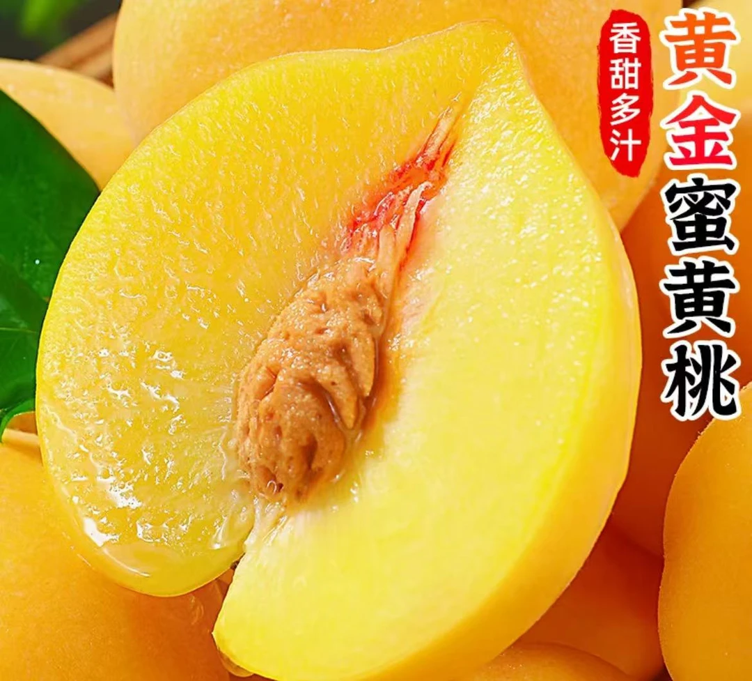 正宗黄金蜜黄桃香甜爆汁汁新鲜毛桃当季现摘大果黄肉蜜桃孕妇水果