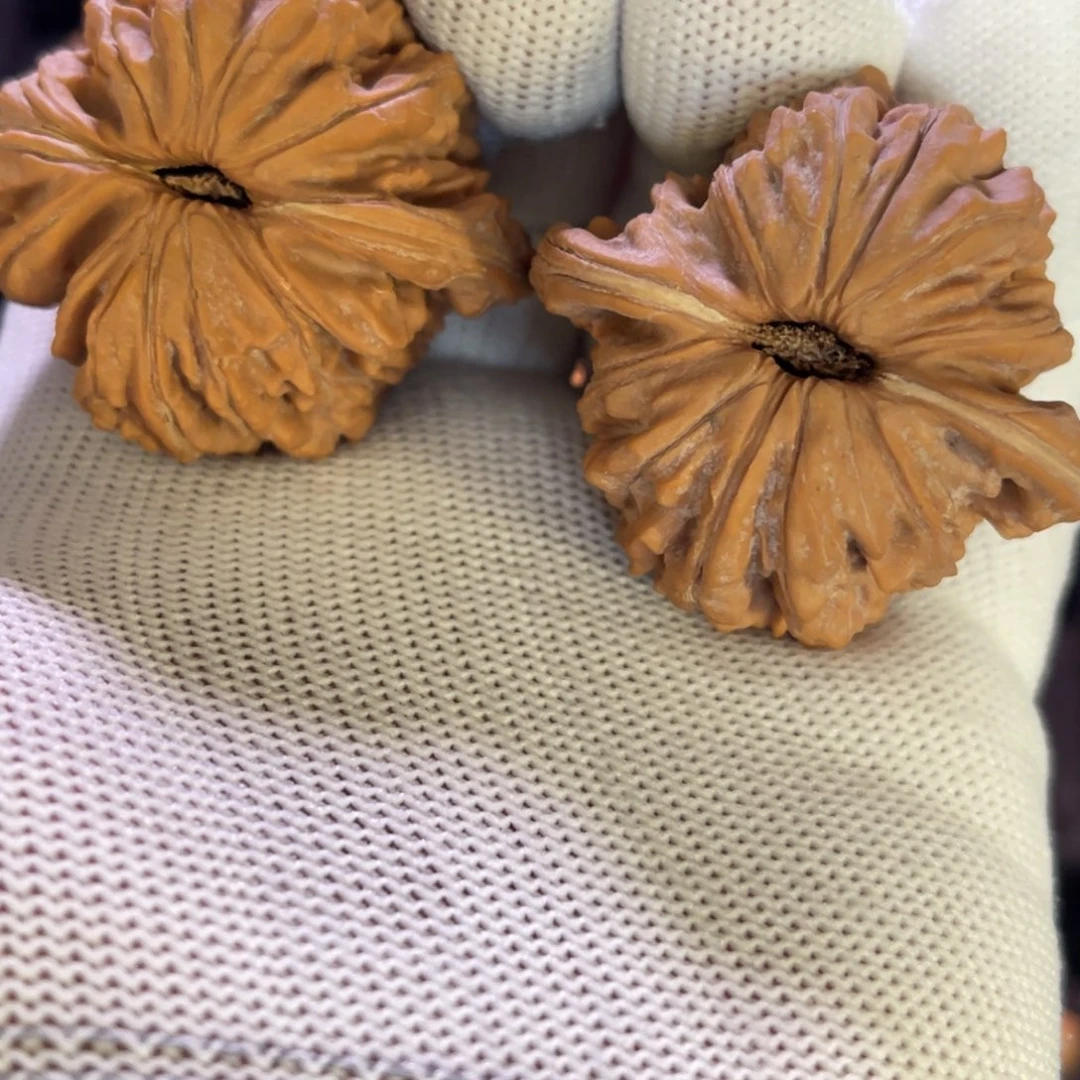 ꧁****꧂秦皇岛山地果全品