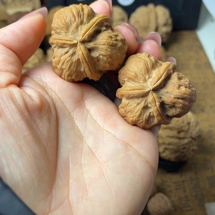 简***易如图所示一物一拍27