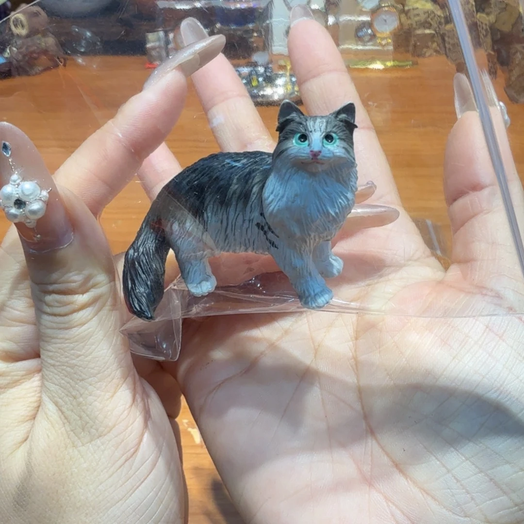 哦哦哦哦哦哦哦哦哦哦哦哦