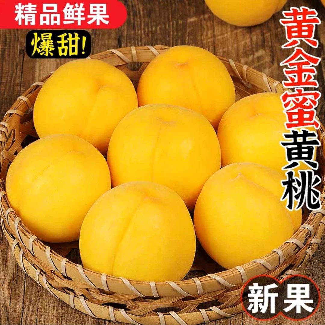 【顺丰包邮】黄金蜜1号黄桃新鲜毛桃露天种植现摘现发净重4.5斤