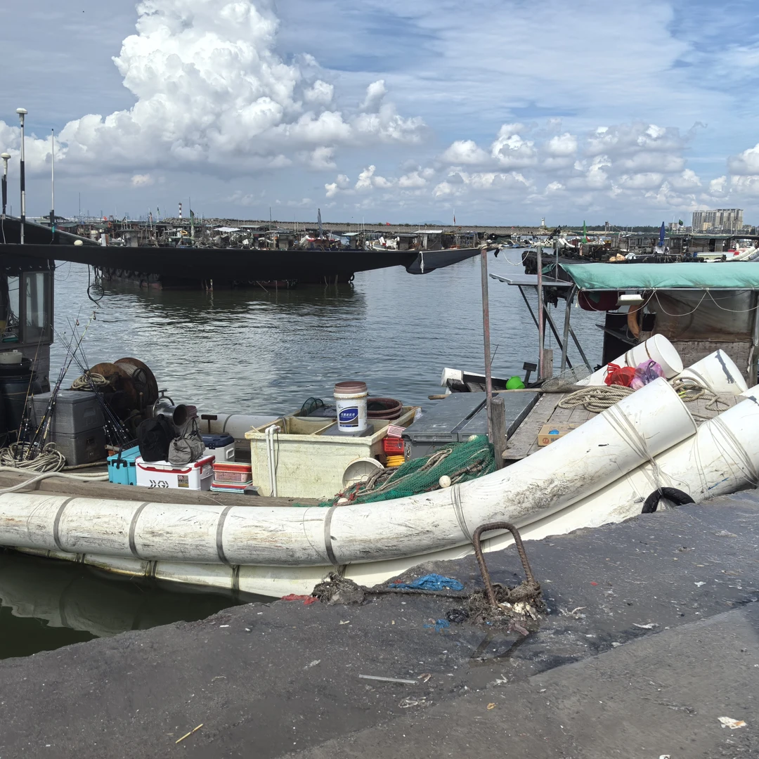 （补差价）  3斤改价链接惠来神泉港鱼套餐顺丰冷链发货，直播间为准