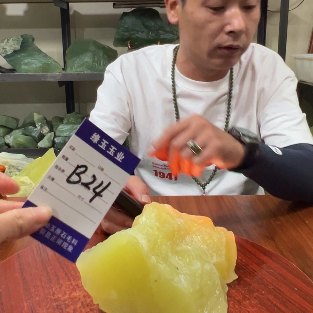 蛇纹石玉未镶嵌原石B24