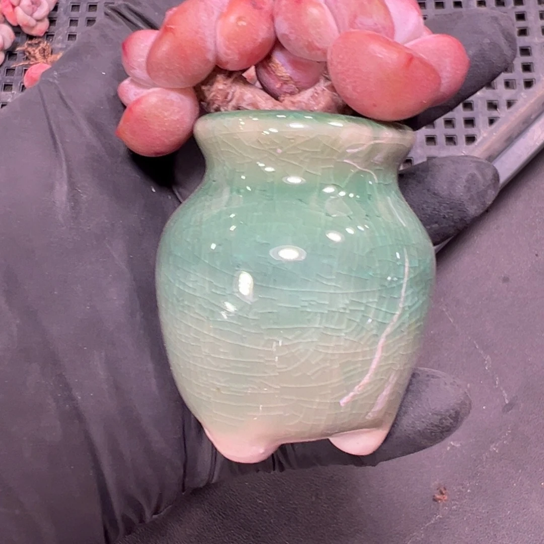 %****)拇指盆2.7厘米00000000000