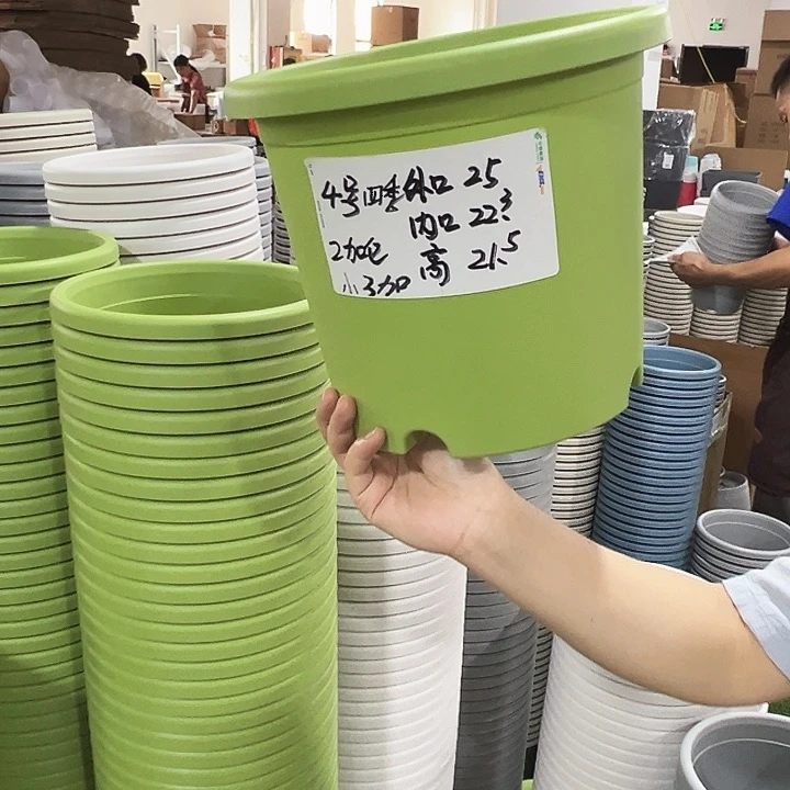 特价4号四季盆果绿色无托8只