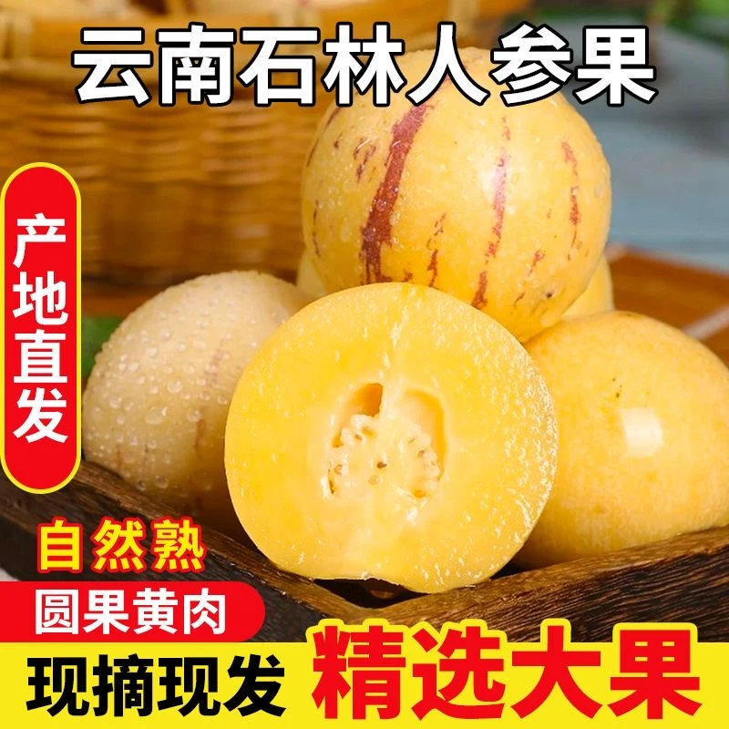 【云南石林人参果】黄肉多汁80-110g带箱5斤水果现摘现发坏果包赔