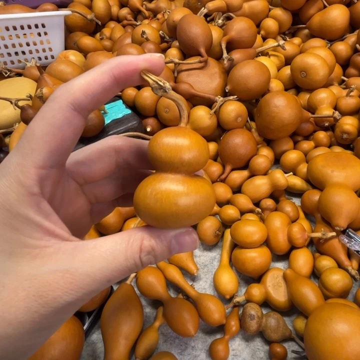 蓝**纸蓝色糖纸的一把钱袋的葫芦