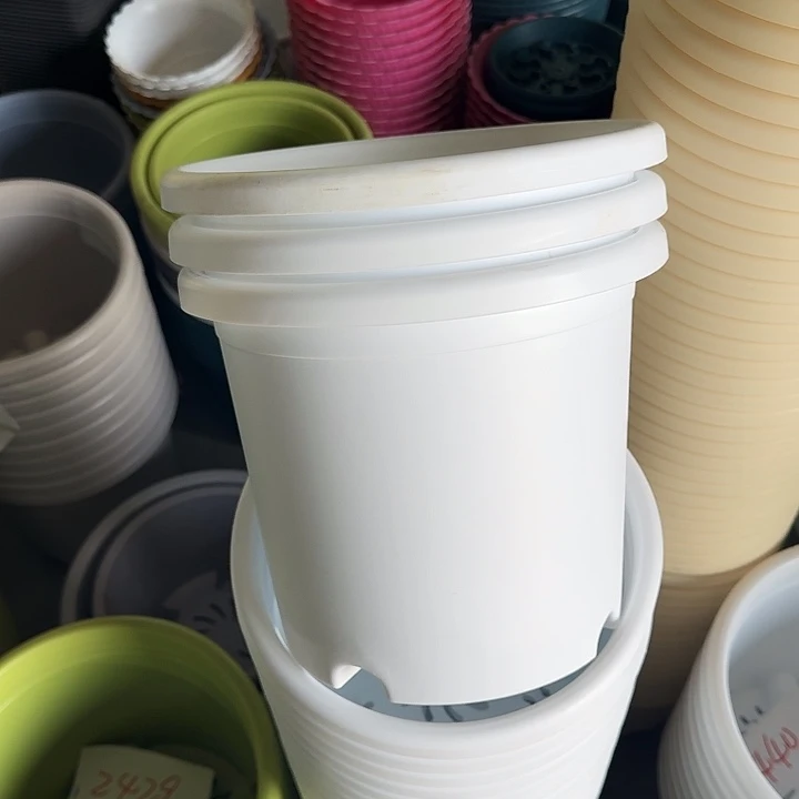 瑕疵4#口径25白色9个无托