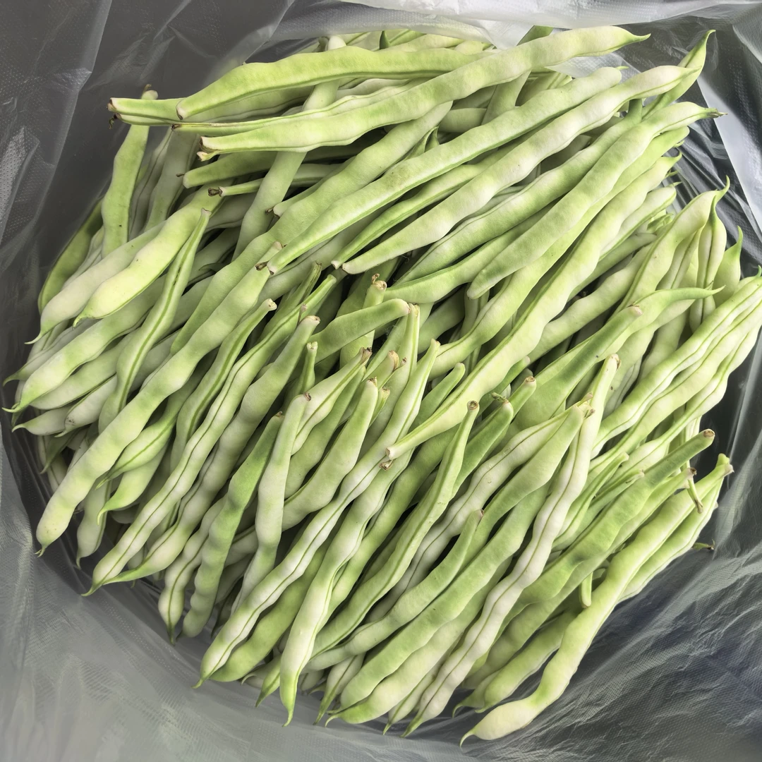 潍坊特产白芸豆3斤/4斤/5斤包邮