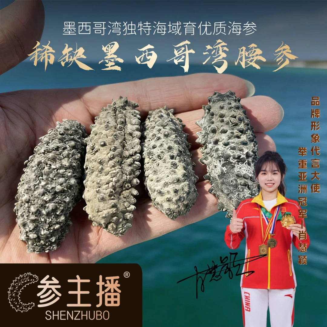shenzhubo/参主播【港口特供】墨西哥湾腰参淡干野生南美刺参稀缺