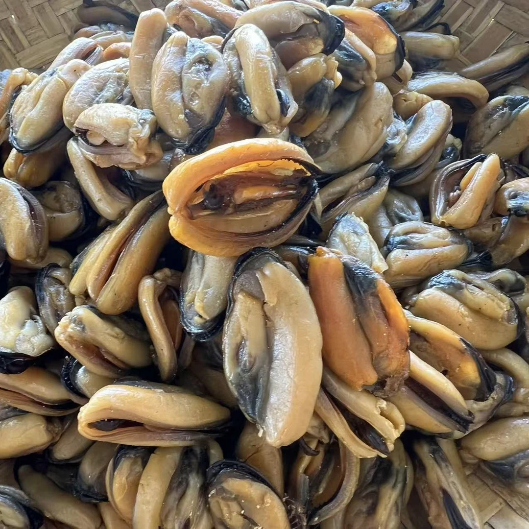 台山特产本港特大淡菜干无盐无沙足干新鲜生晒淡菜干