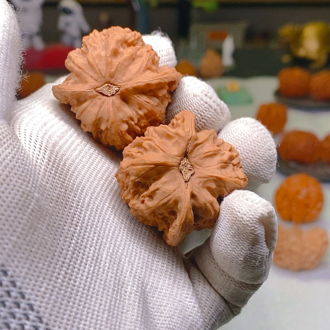 文玩核桃把件飞*野