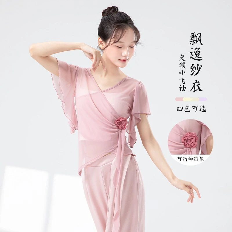 古典舞蹈服女夏季新款网纱短袖上衣飘逸练功服中国民族舞演出服
