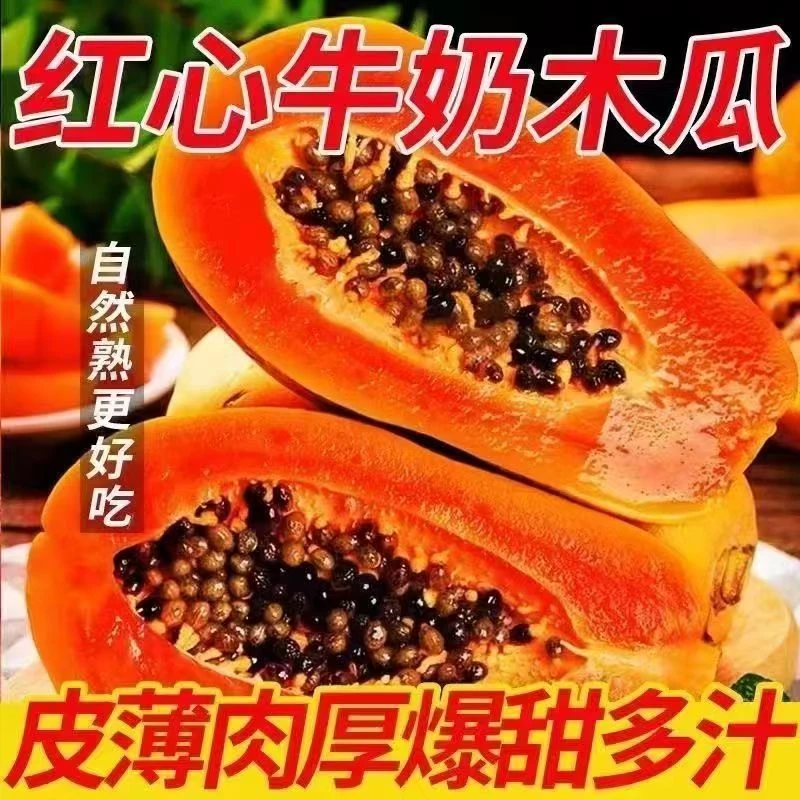 CC【催熟放软吃】冰糖红心牛奶木瓜细腻软糯新鲜应季水果微花皮