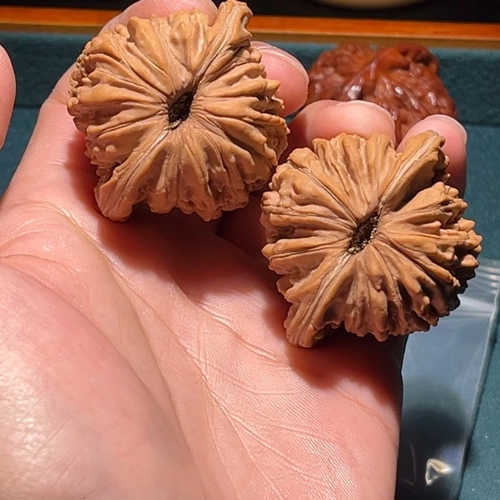 文玩核桃把件K*。44楼毕业对