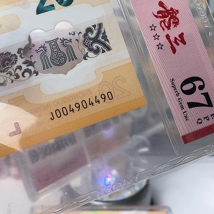 塑料24龙钞004904490龙三