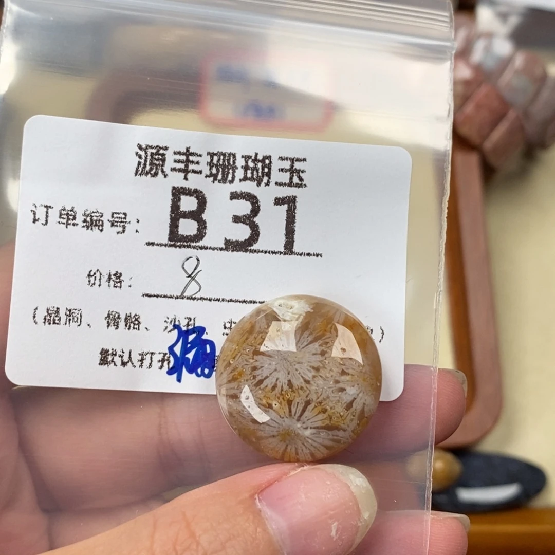 美***毛硅化玉未镶嵌颈饰