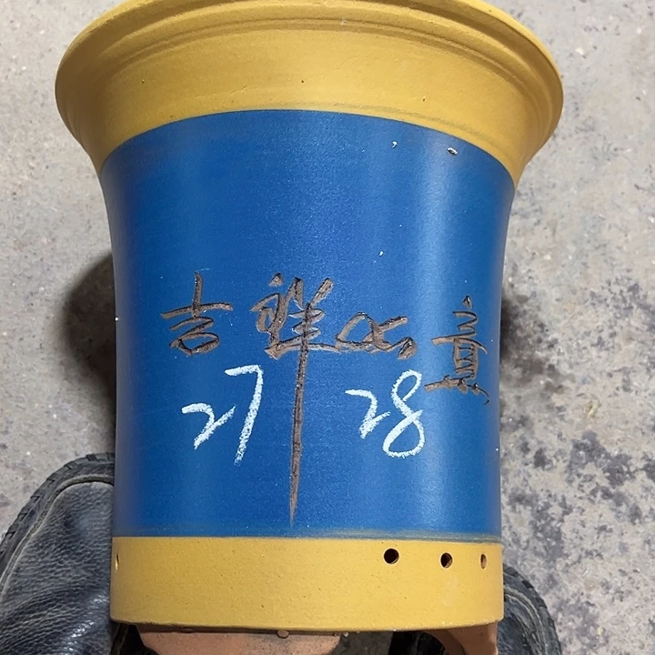 紫砂工艺厂……紫砂工艺厂