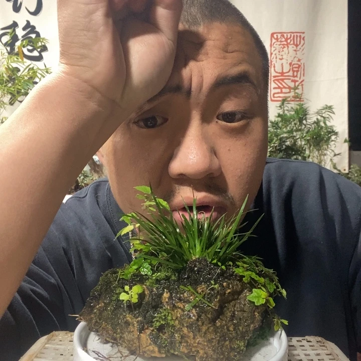 无花朵退款拉黑拉黑68