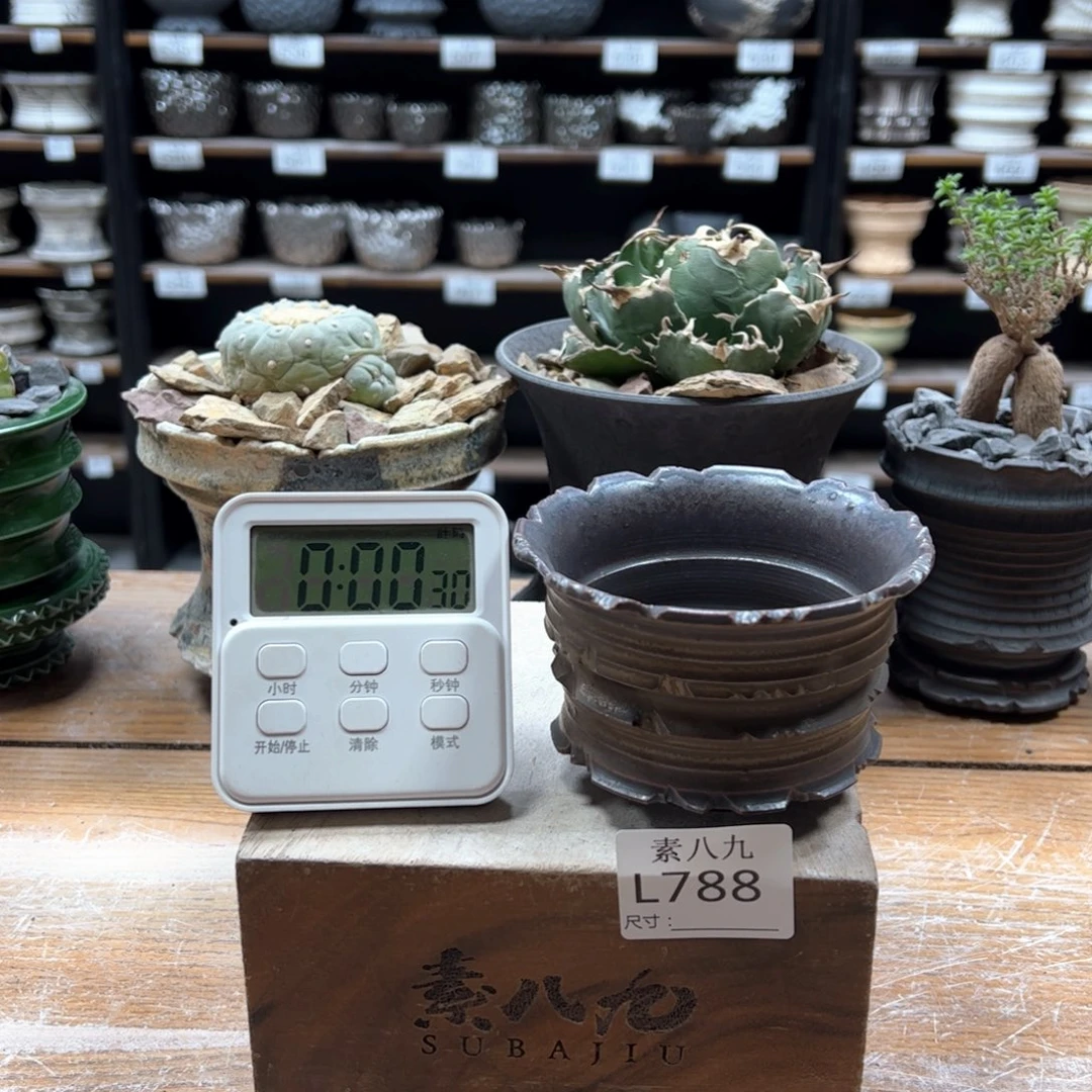 素八九陶瓷内口10高6.5b***n