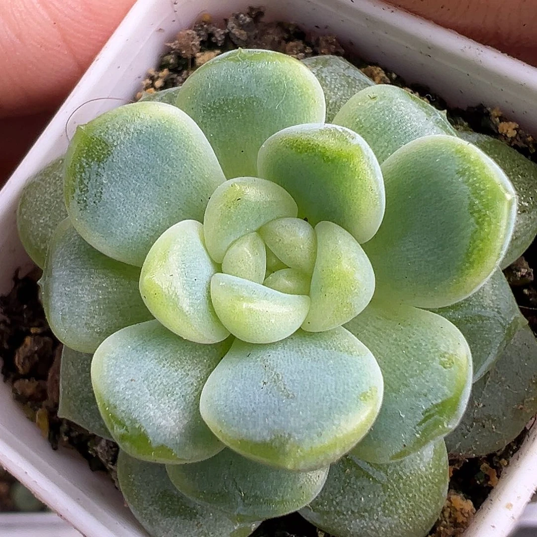 财富密码10。