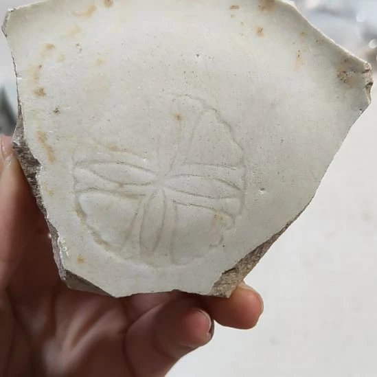 瓷片瓷片瓷片瓷片瓷片
