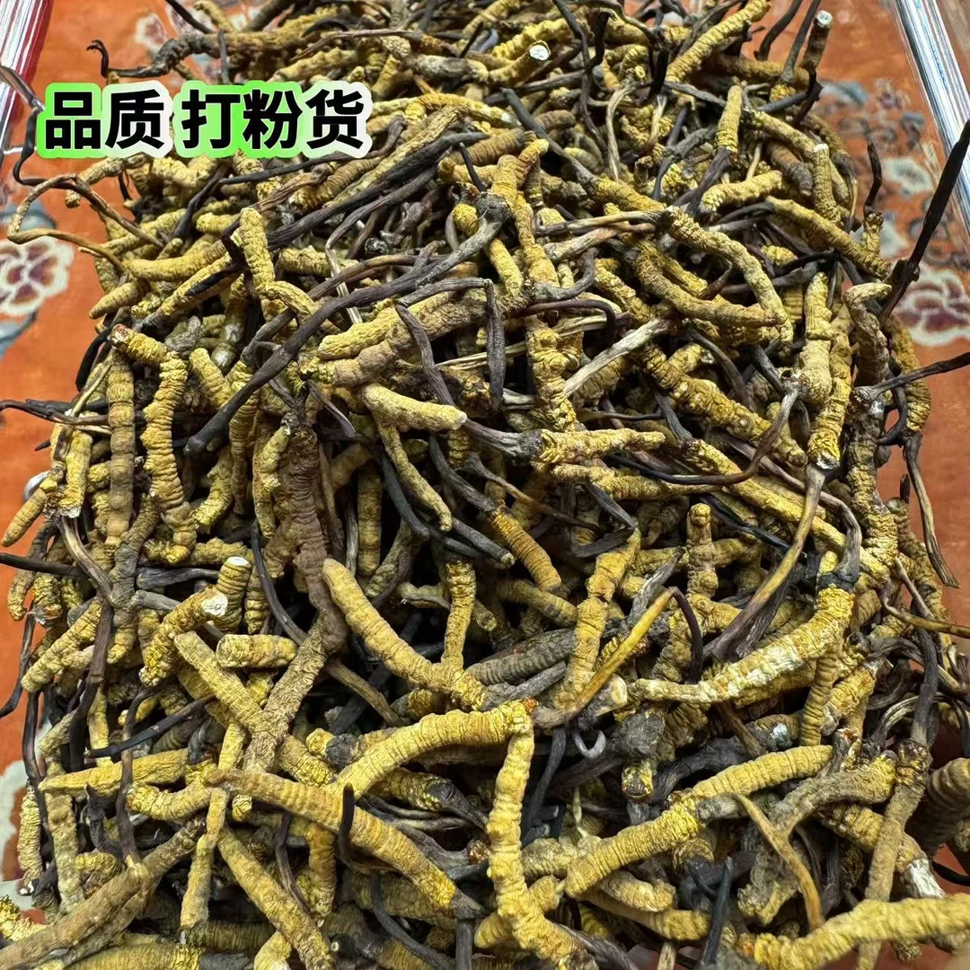 【冬虫夏草】478克 打粉货 2025新干草 自然晒干 品质滋补 实拍图