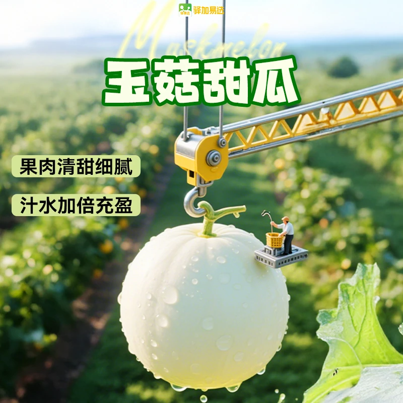 [热销] 顺丰包邮  玉菇甜瓜 4.5-5斤 2个 送勺