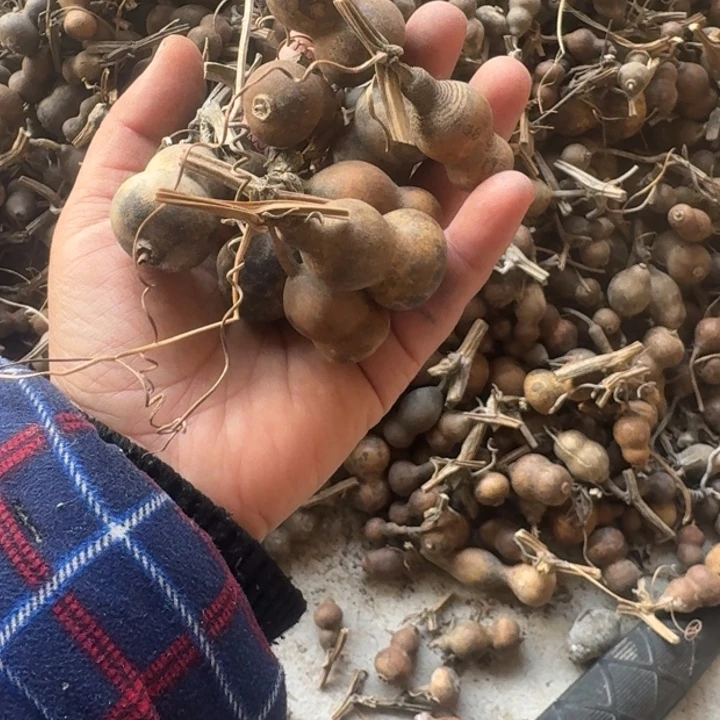 薇***o微微安微微安葫芦