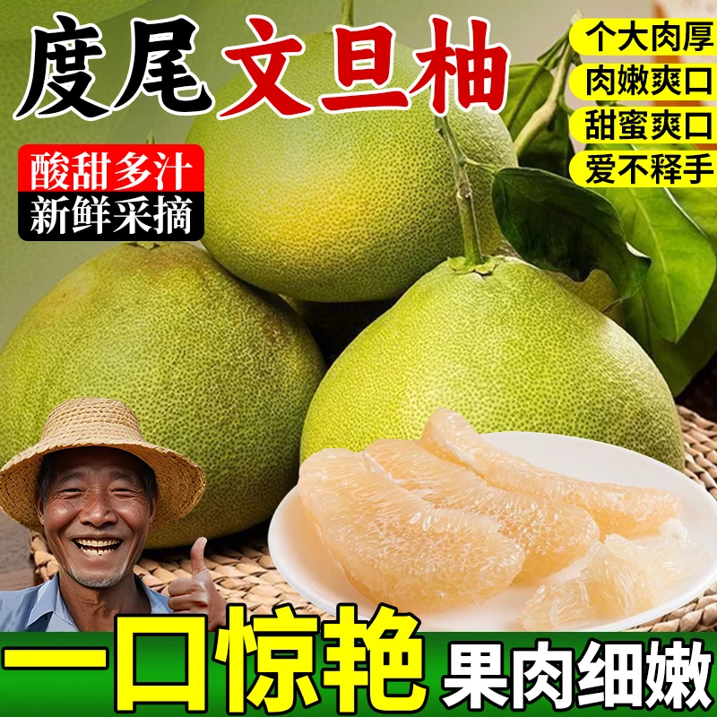 （新人体验）度尾老树文旦柚新鲜饱满爆汁当季水果老人小孩孕妇适用