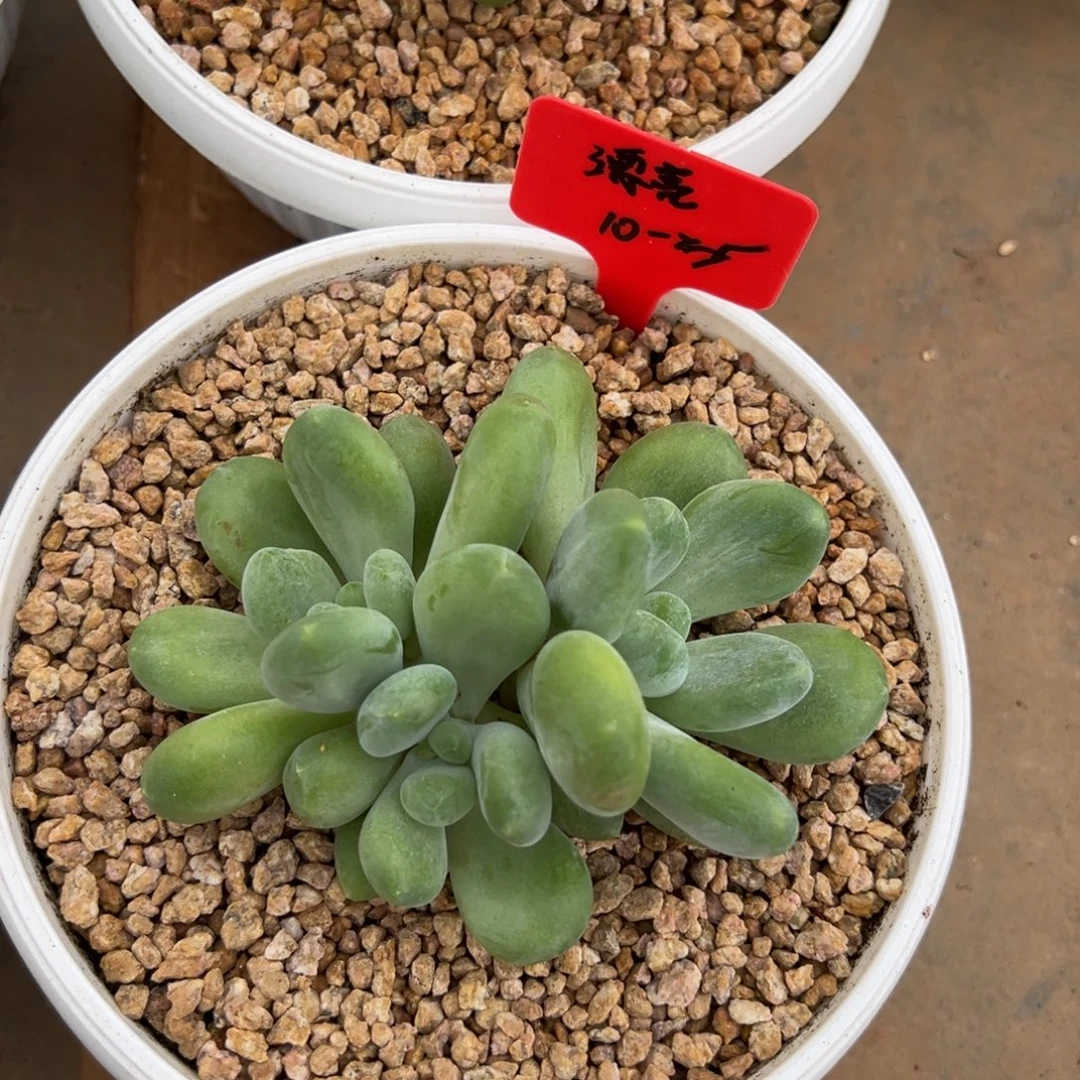 1025111111111111111111