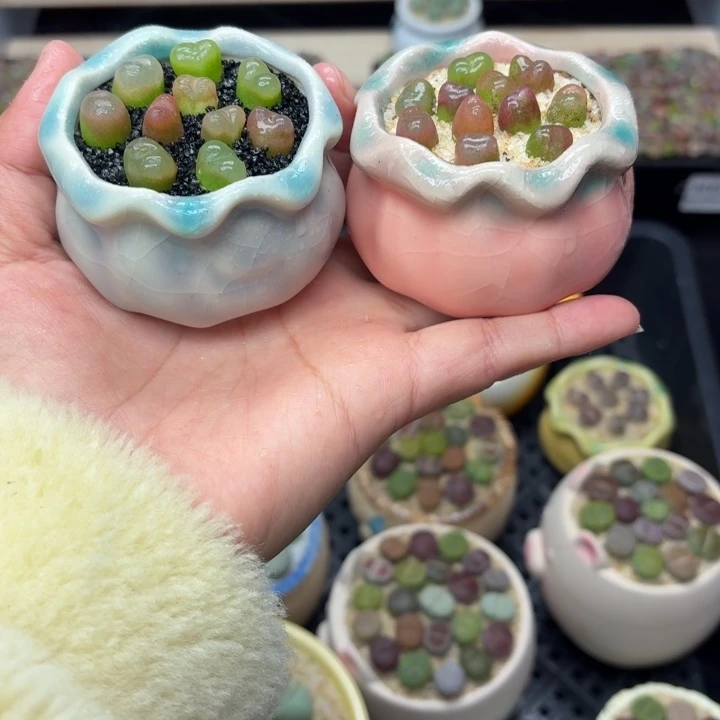 零下地区记得拍保温箱6031