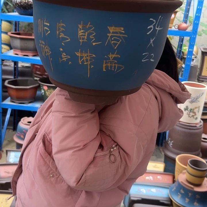 T000花盆花盆花盆