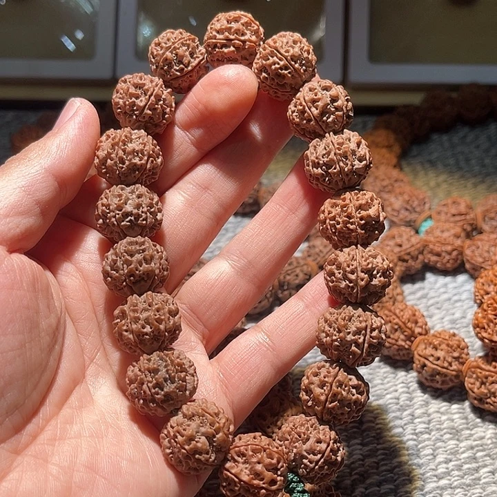 金刚菩提吊坠六瓣原生态 19尺寸 闪购10号