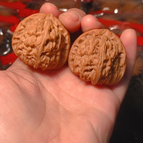 文玩核桃把件白狮子37