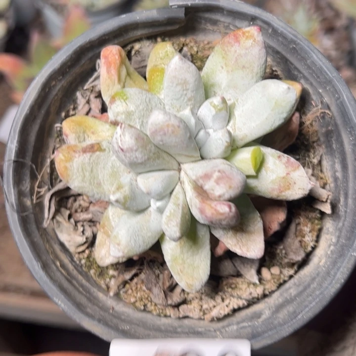 490哈哈哈哈哈哈哈哈