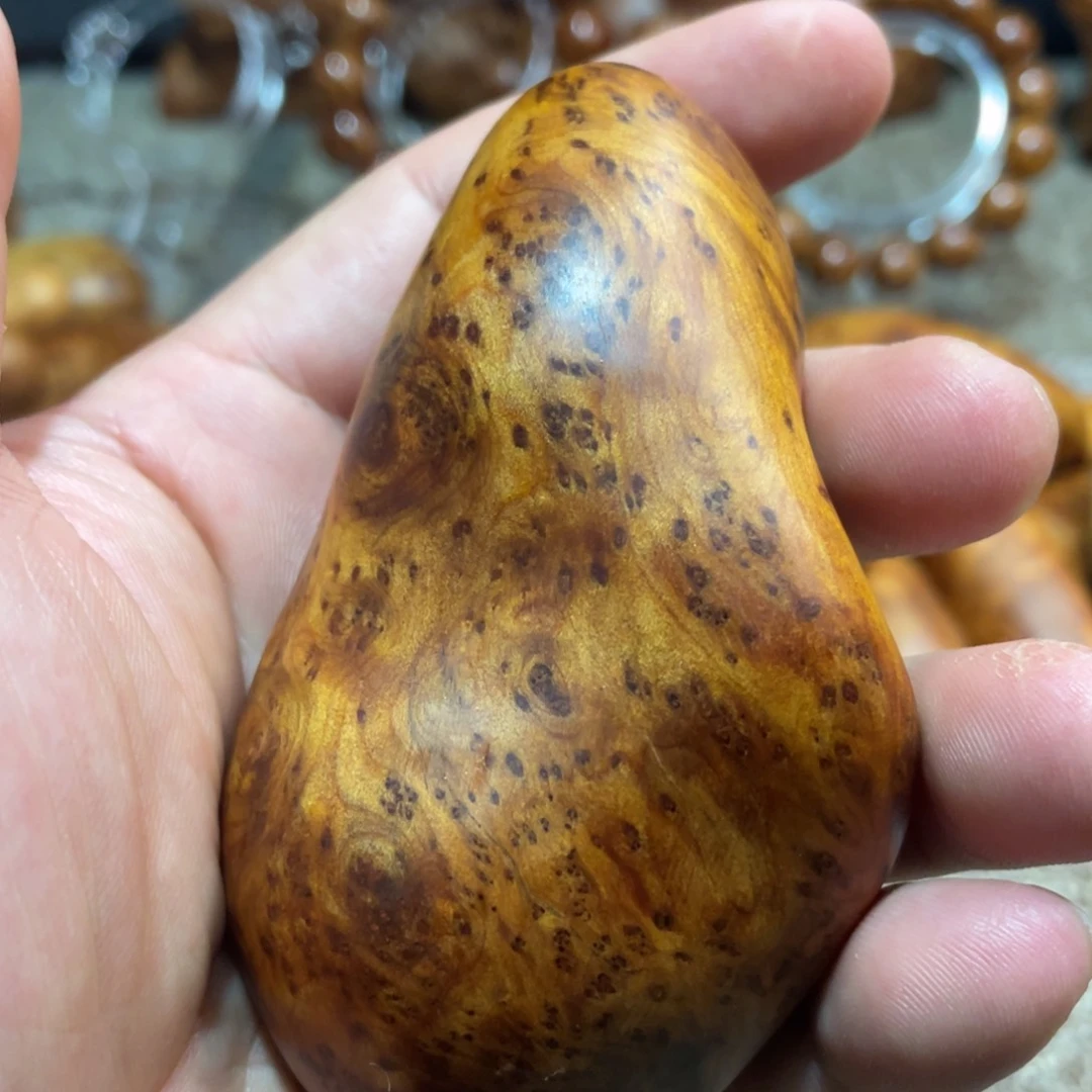 柏木（崖柏）其他蚂蚁题