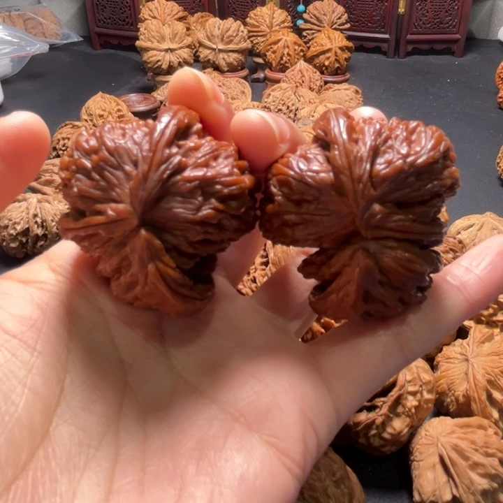 白狮子两棱挂角43尺寸核桃哈哈哈哈哈