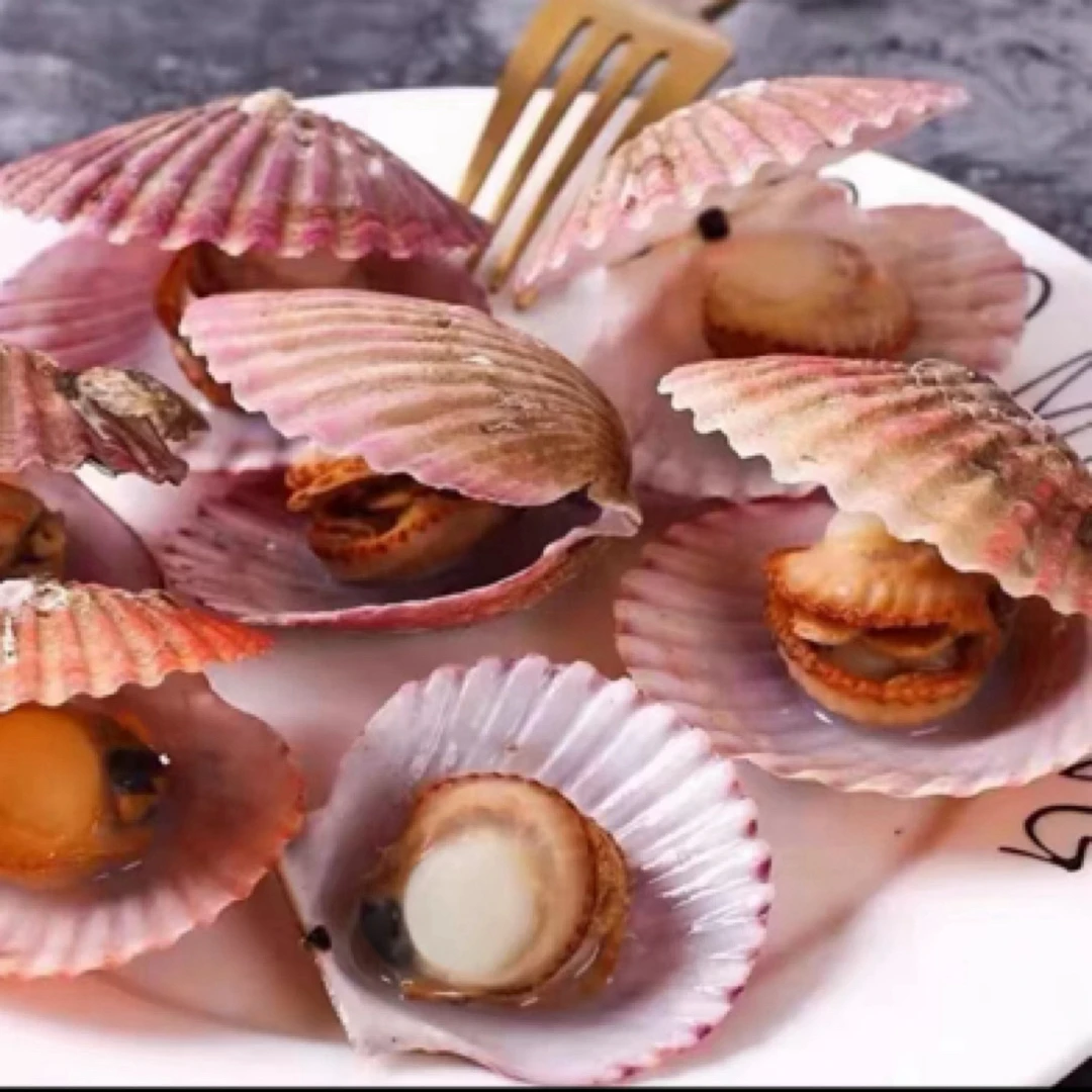 鲜活小红贝扇贝鲜甜肥美免洗无沙鲜活发货保鲜到家