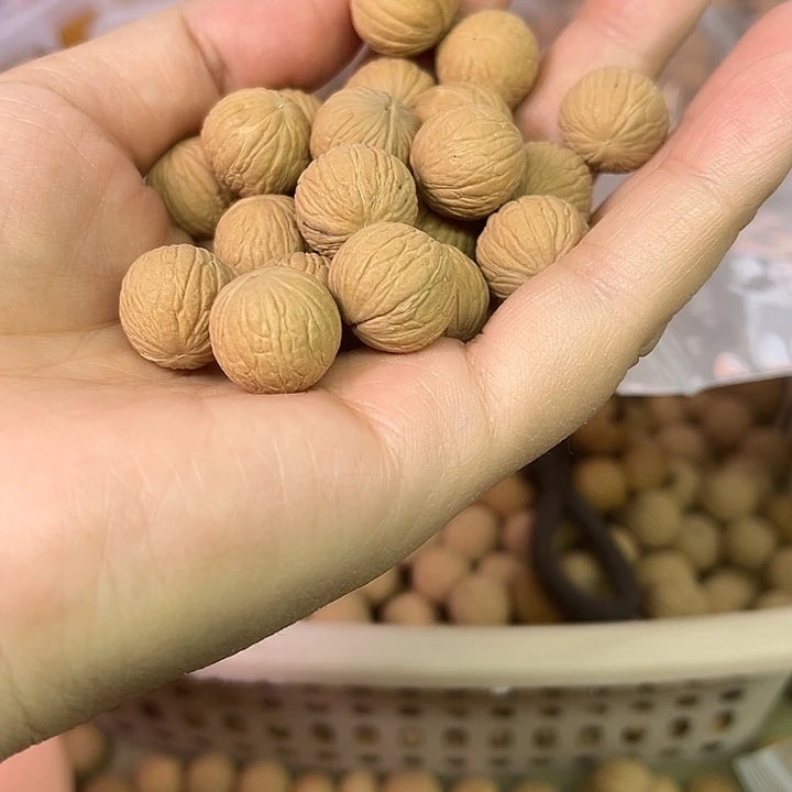 猴头核桃手串凤羽散珠100颗