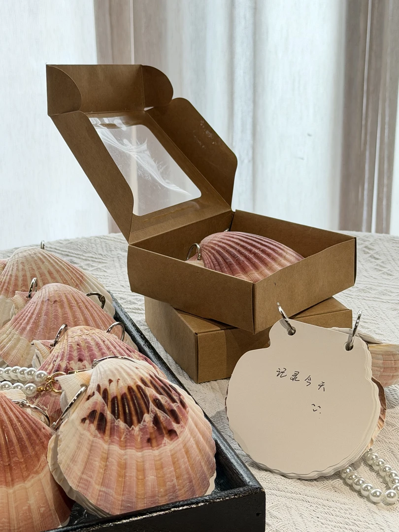 【贝壳手账本】手工原创 贝壳