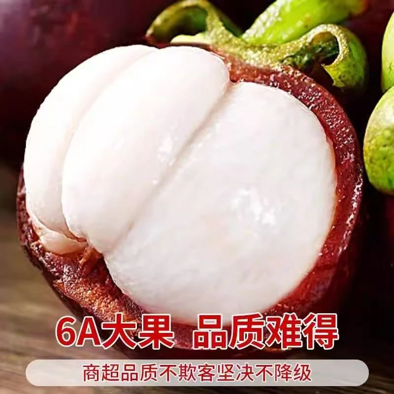 【新疆直发粉丝福利】九鼎市场泰国6A山竹精品1/2kg