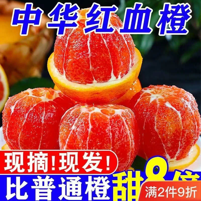【橙中贵族】湖北秭归3-9斤中华红肉血橙子新鲜当季水果沃柑摘包邮