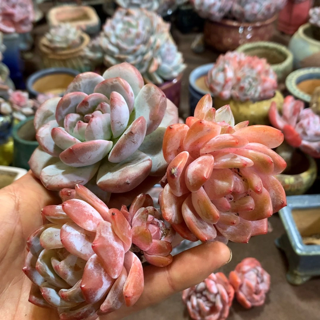 哈哈哈哈哈哈哈哈哈哈