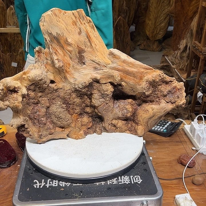 松木（琥珀木）瑞***^