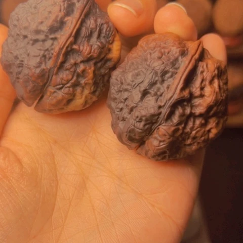 核桃手串/手链用****马九五玄包 43