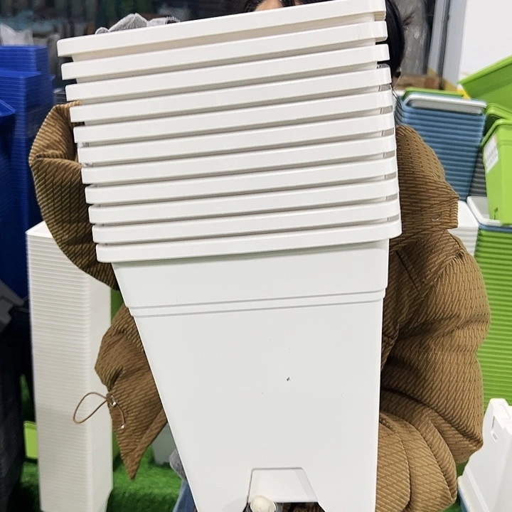 正品方盆口23高26白色5个无托