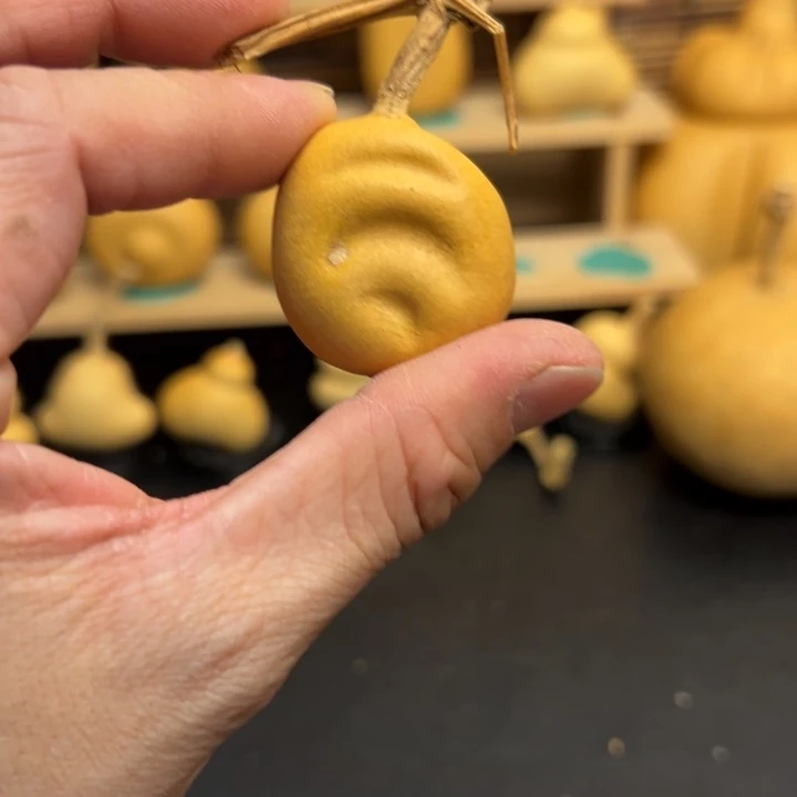 协****生葫芦葫芦葫芦葫芦葫芦葫芦